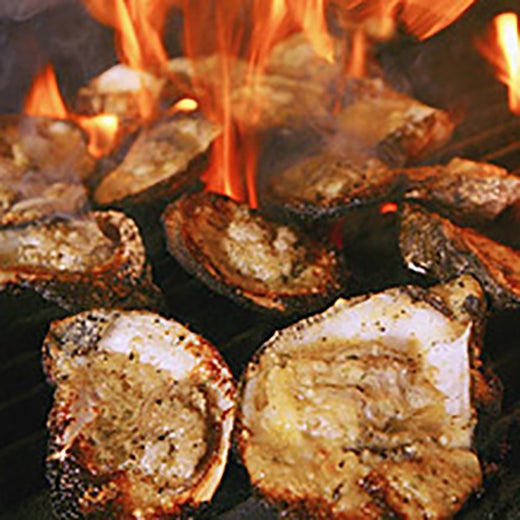 The 11 Best Places For Oysters in New Orleans
